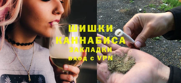 ГАЛЛЮЦИНОГЕННЫЕ ГРИБЫ Аркадак