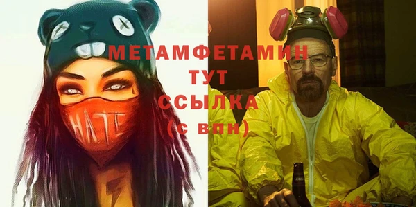 ГАЛЛЮЦИНОГЕННЫЕ ГРИБЫ Аркадак