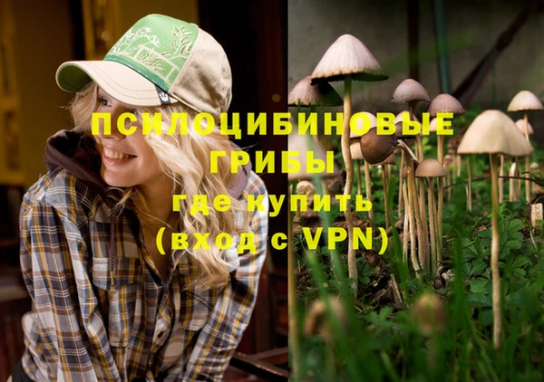 первитин Алзамай
