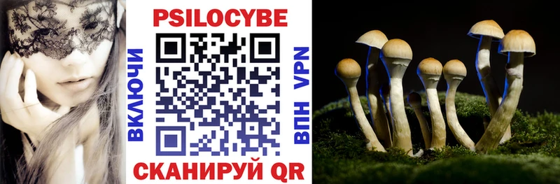 продажа наркотиков  Выкса  Псилоцибиновые грибы мухоморы 
