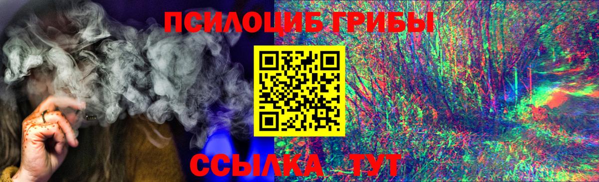 Псилоцибиновые грибы мицелий Выкса
